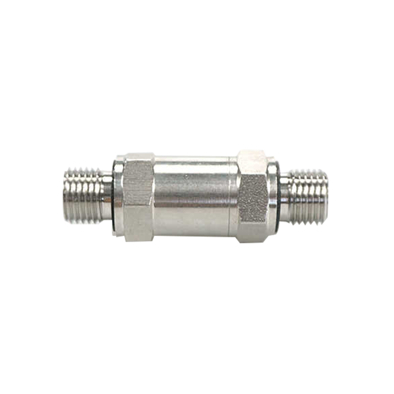 Clapet anti-retour à filetage mâle NPT en acier inoxydable